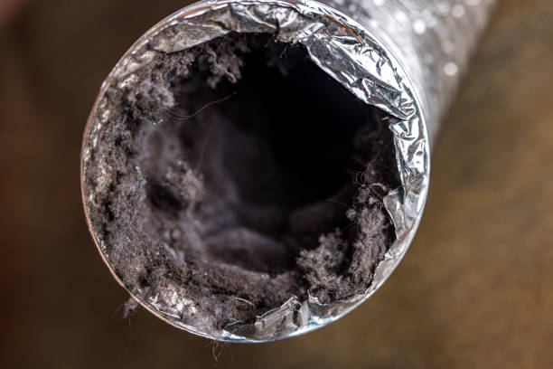 Best Ductwork Odor Removal in Boyceville, WI