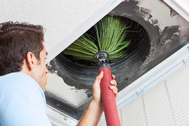 Best Dryer Vent Cleaning in Boyceville, WI